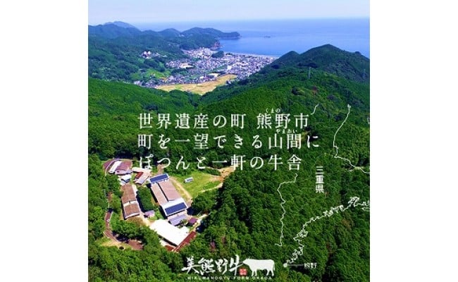 【全4回】美熊野牛 定期便C ＜すき焼きしゃぶしゃぶ用ロース＆赤身モモ肉 400g・切り落とし 400g・焼肉用6種食べ比べ 500ｇ・サーロインステーキ 300g×1枚＞  牛肉 肉 ブランド牛 和牛 黒毛和牛 国産牛 すき焼き しゃぶしゃぶ 赤身 赤身肉 焼肉 ステーキ サーロイン 肉定期便 人気 希少 おすすめ 三重県 熊野市【okad-tkb0021】