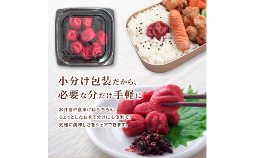 【 梅干し 小分け 】 お土産にピッタリ♪ 梅干し 無添加 南高梅 小分けタイプ 昔ながらのすっぱい しそ漬け梅干し 500g (100g×5P) 梅干し 梅干 梅 うめ ウメ しそ梅干し しそ梅 人気 国産 梅干し お取り寄せ おすすめ 梅干し お弁当 梅干し 健康食品 南高梅干し 三重県 熊野市【frsn0031A】