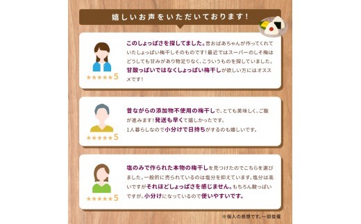 【 梅干し 小分け 】 お土産にピッタリ♪ 梅干し 無添加 南高梅 小分けタイプ 昔ながらのすっぱい しそ漬け梅干し 500g (100g×5P) 梅干し 梅干 梅 うめ ウメ しそ梅干し しそ梅 人気 国産 梅干し お取り寄せ おすすめ 梅干し お弁当 梅干し 健康食品 南高梅干し 三重県 熊野市【frsn0031A】