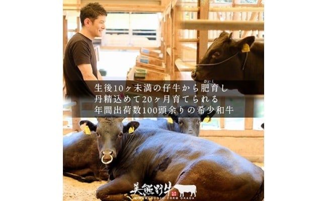 【全4回】美熊野牛 定期便C ＜すき焼きしゃぶしゃぶ用ロース＆赤身モモ肉 400g・切り落とし 400g・焼肉用6種食べ比べ 500ｇ・サーロインステーキ 300g×1枚＞  牛肉 肉 ブランド牛 和牛 黒毛和牛 国産牛 すき焼き しゃぶしゃぶ 赤身 赤身肉 焼肉 ステーキ サーロイン 肉定期便 人気 希少 おすすめ 三重県 熊野市【okad-tkb0021】