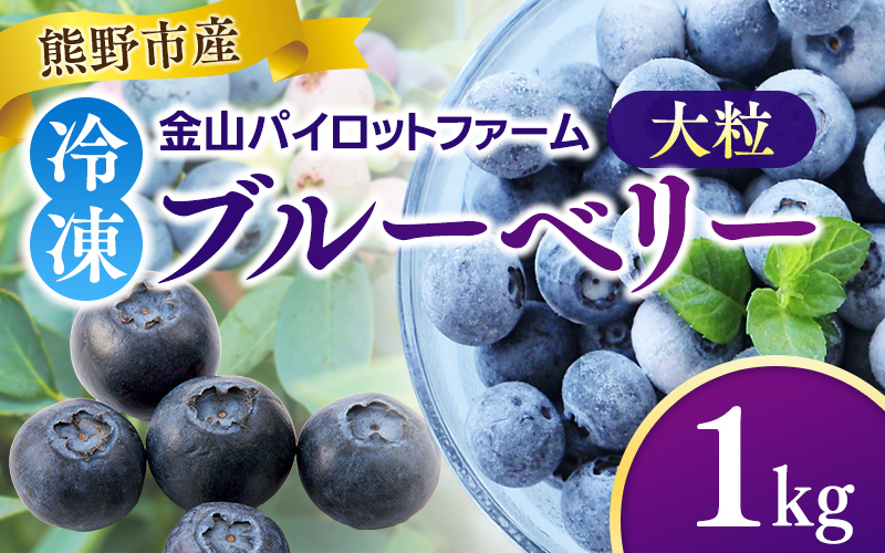 冷凍 ブルーベリー 1kg 急速冷凍 フルーツ 果物 くだもの スムージー ジャム 朝食 デザート 特産品 人気 国産 旬 金山パイロットファーム 三重県 熊野市【knpr0009A】