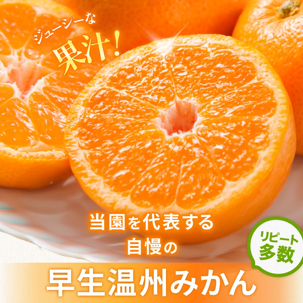 <テレビで紹介されました> 金山パイロットファーム 温州みかん 5㎏ (早生) みかん ミカン 温州みかん 早生みかん 早生温州 フルーツ 果物 くだもの 柑橘 産地直送 数量限定 人気 国産 三重県 熊野市【knpr0014A】