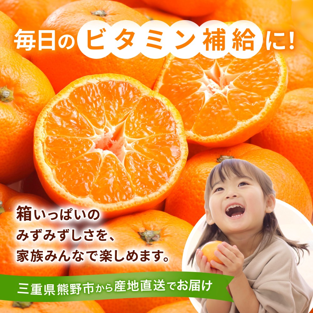 <テレビで紹介されました> 金山パイロットファーム 温州みかん 5㎏ (早生) みかん ミカン 温州みかん 早生みかん 早生温州 フルーツ 果物 くだもの 柑橘 産地直送 数量限定 人気 国産 三重県 熊野市【knpr0014A】