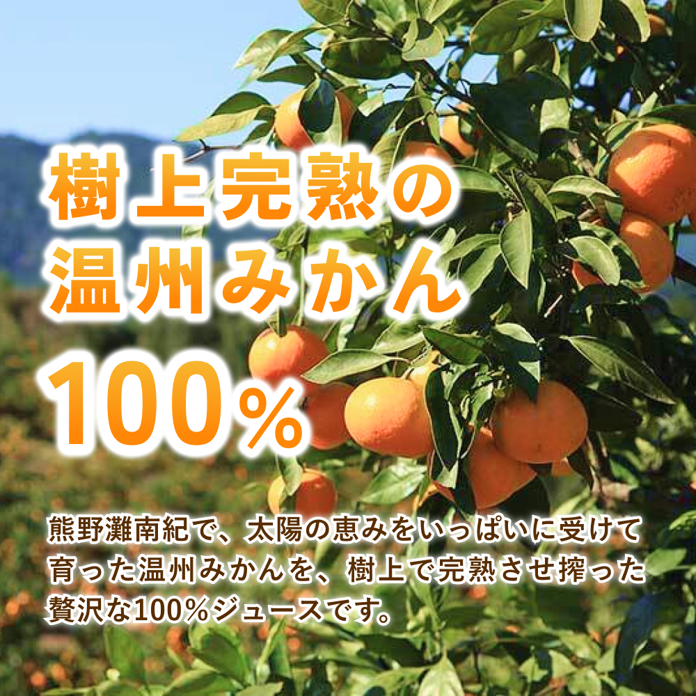 ç¡æ·»å ææ±100ïŒ
ã¿ãããžã¥ãŒã¹ ãããŸã®ãã ã¡ã çœã©ãã« 1LÃ3æ¬ ãã«ã³ãžã¥ãŒã¹ ã¿ãã ãã«ã³ æž©å·ã¿ãã ã¹ãã¬ãŒã ãã«ãŒããžã¥ãŒã¹ ãã«ãŒã æç© ãã ãã® äººæ° æ°ééå® éå±±ãã€ããããã¡ãŒã äžéç çéåž ãknpr0001ã