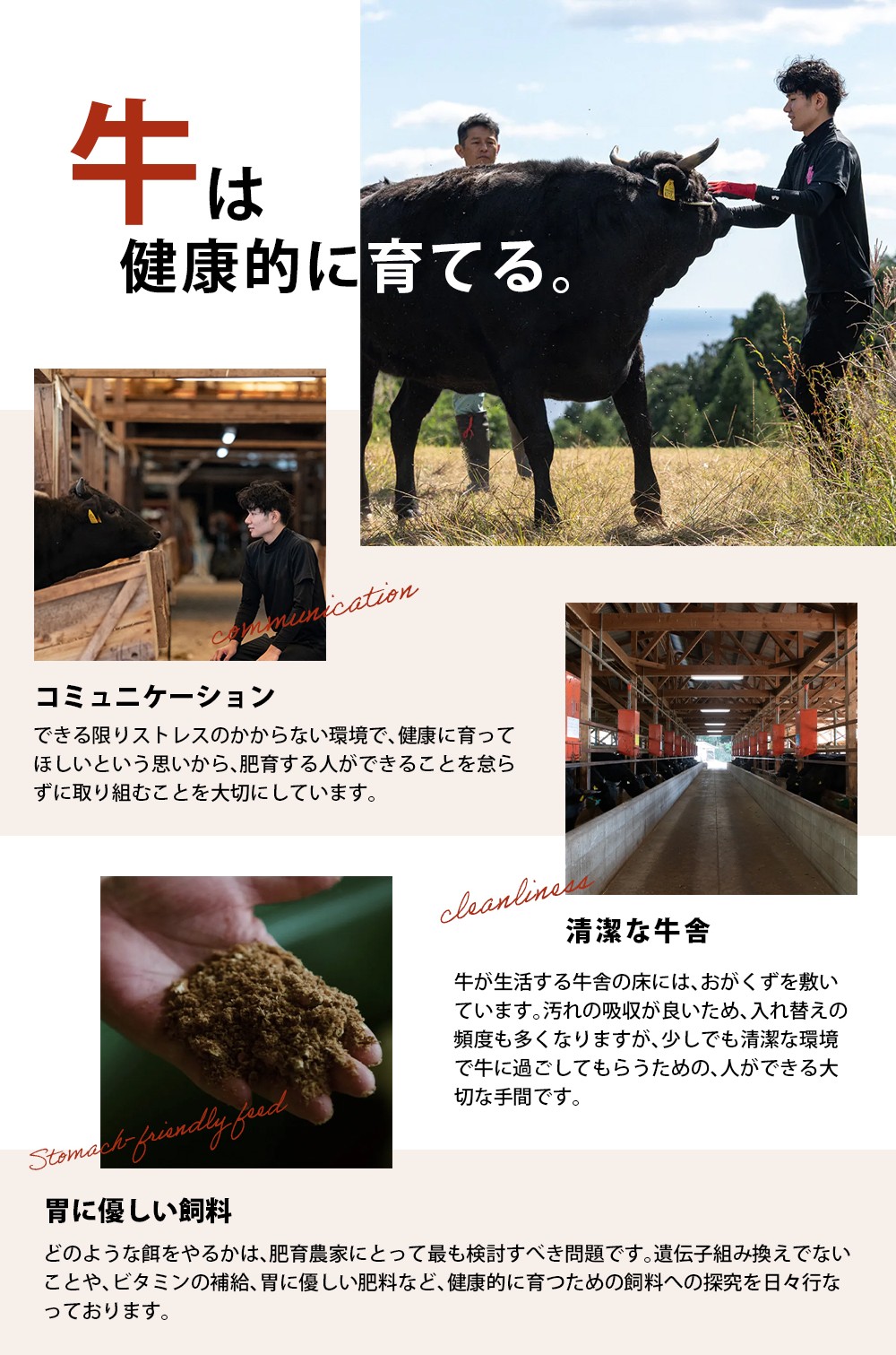 çŸçéç 100ïŒ
ãã³ããŒã° 100gÃ5å çè è ãã³ããŒã° æ£è ãæ£è ãã©ã³ãç åç 黿¯åç åœç£ç ééã 赀身 ããã å°åã ç°¡å調ç äººæ° åžå° ãããã äžéç çéåžãokad0007ã