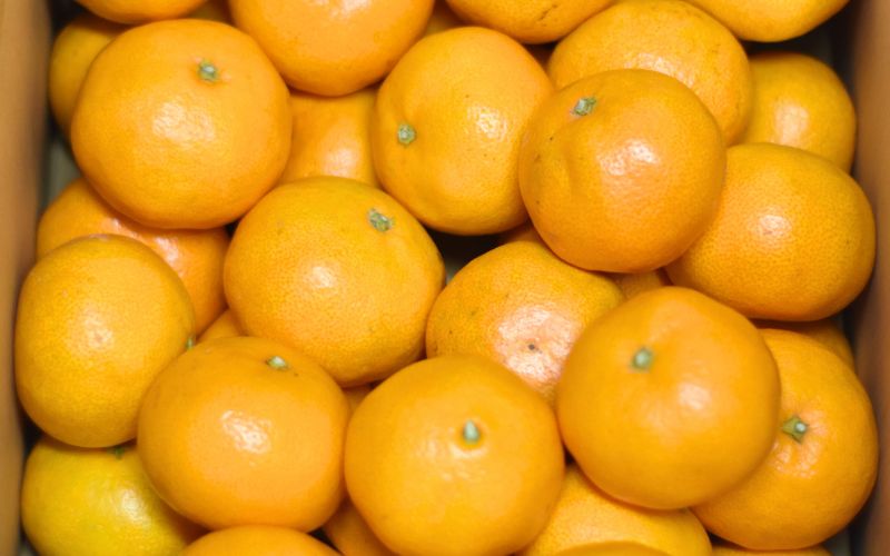 仲森蟲åã®å®ççéã¿ãã 10kgã11æäžæ¬ãã12æäžæ¬ã§é 次çºéãã¿ãã ãã«ã³ èæ æž©å·ã¿ãã ç£å°çŽé äžéç çéåž çéãnkmr0002Aã