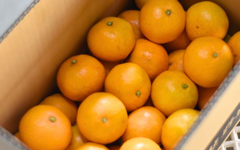 仲森蟲åã®å®ççéã¿ãã 3kgã11æäžæ¬ãã12æäžæ¬ã«çºéãã¿ãã ãã«ã³ èæ æž©å·ã¿ãã ææ© ãã«ãŒã æç© ç£å°çŽé äžéç çéåž çéãnkmr0009ã