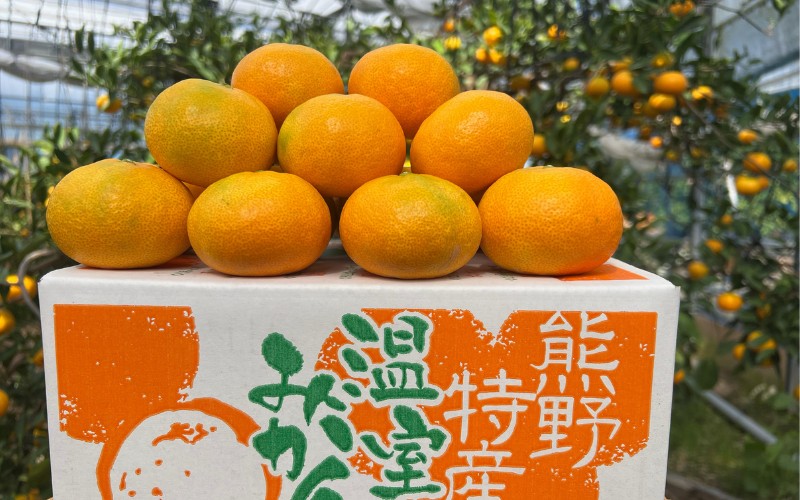 【数量限定】仲森農園の温室みかん 2.5kg 【2026年7月より順次発送予定（お届け日指定不可）】 みかん ミカン 蜜柑 温州みかん 温州ミカン 柑橘 フルーツ 果物 くだもの 産地直送 三重県 熊野市【nkmr0001】