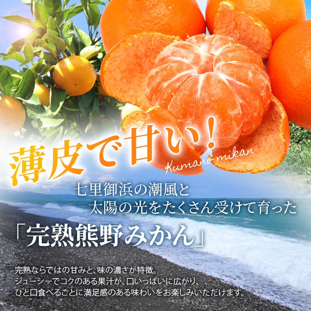 仲森農園の完熟熊野みかん 10kg 【2026年11月下旬から12月下旬に発送】 みかん ミカン 蜜柑 温州みかん 温州ミカン 柑橘 フルーツ 果物 くだもの 甘い 旬 人気 産地直送 三重県 熊野市【nkmr0002A】