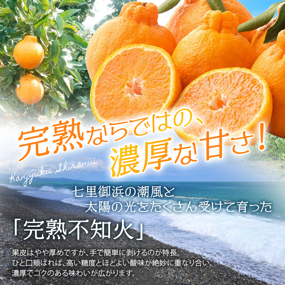 【数量限定】仲森農園の完熟不知火 5kg 【2027年2月～4月頃で順次発送】 みかん ミカン 蜜柑 柑橘 しらぬい 不知火 フルーツ 果物 くだもの 旬 甘い 産地直送 期間限定 三重県 熊野市 【nkmr0003】