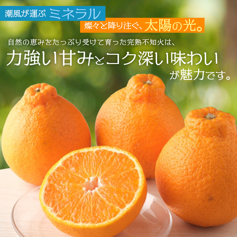 【数量限定】仲森農園の完熟不知火 5kg 【2027年2月～4月頃で順次発送】 みかん ミカン 蜜柑 柑橘 しらぬい 不知火 フルーツ 果物 くだもの 旬 甘い 産地直送 期間限定 三重県 熊野市 【nkmr0003】