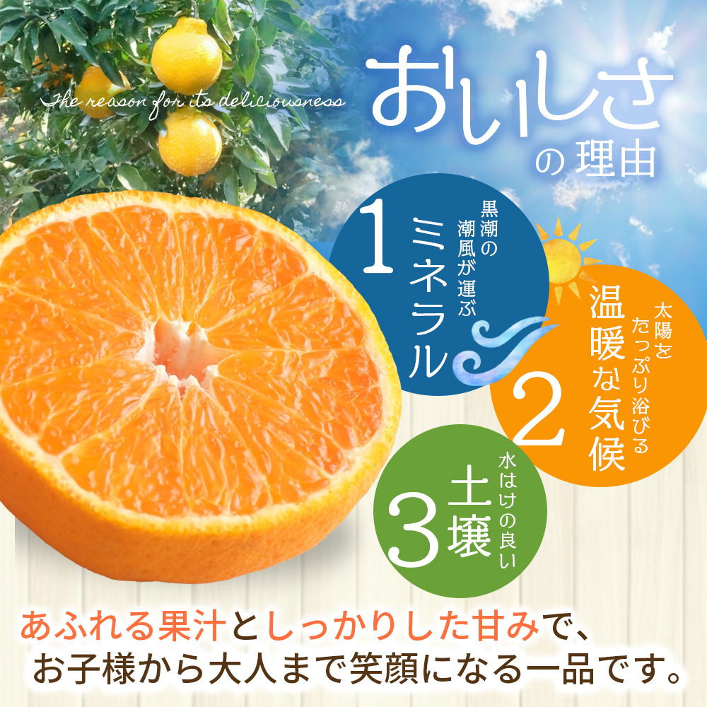 【数量限定】仲森農園の完熟不知火 5kg 【2027年2月～4月頃で順次発送】 みかん ミカン 蜜柑 柑橘 しらぬい 不知火 フルーツ 果物 くだもの 旬 甘い 産地直送 期間限定 三重県 熊野市 【nkmr0003】