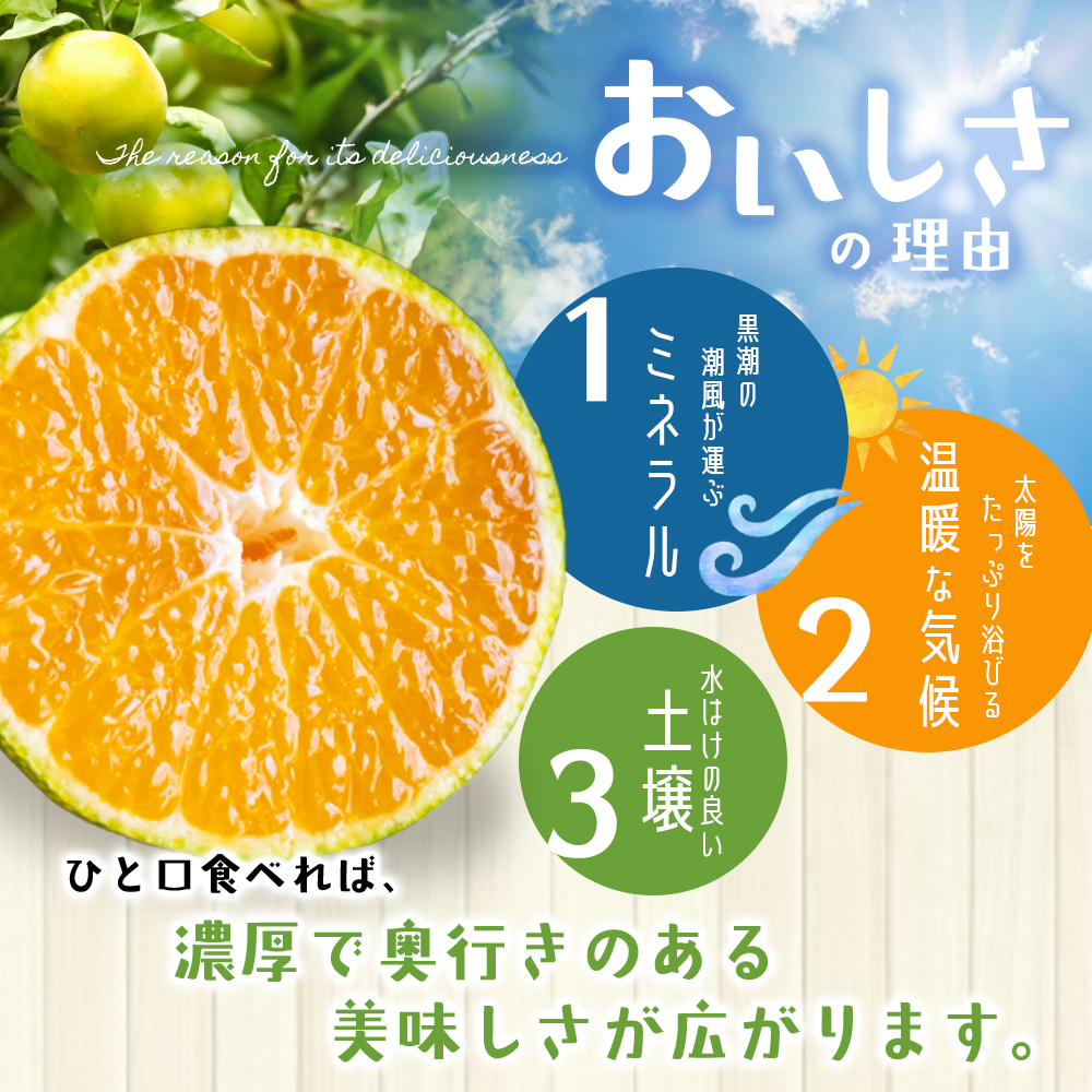 仲森農園の超極早生温州みかん みえ紀南一号 約10kg みかん ミカン 蜜柑 温州みかん 温州ミカン 柑橘 フルーツ 果物 くだもの 甘い 旬 数量限定 期間限定 産地直送 三重県 熊野市【2026年9月上旬頃～9月下旬頃に順次発送】【nkmr0014】