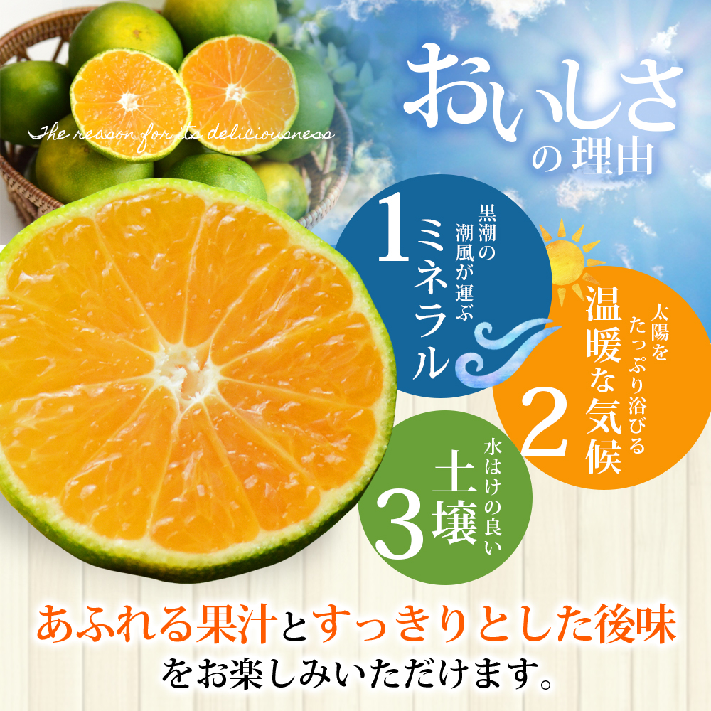 仲森農園の極早生温州みかん 約5kg みかん ミカン 蜜柑 温州みかん 温州ミカン 柑橘 フルーツ 果物 くだもの 甘い 旬 数量限定 期間限定 産地直送 10000円 三重県 熊野市【2026年9月下旬頃～10月下旬頃に順次発送】【nkmr0016】