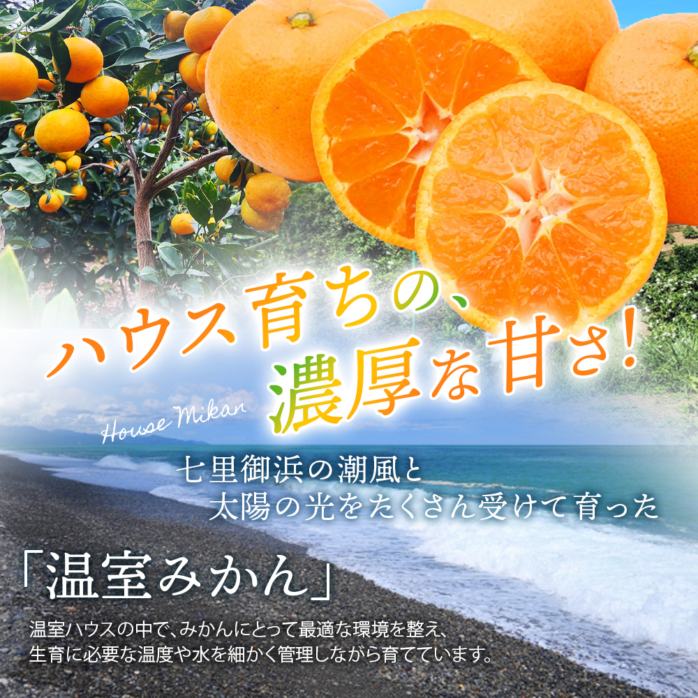 【数量限定】仲森農園の温室みかん 2.5kg 【2026年7月より順次発送予定（お届け日指定不可）】 みかん ミカン 蜜柑 温州みかん 温州ミカン 柑橘 フルーツ 果物 くだもの 産地直送 三重県 熊野市【nkmr0001】
