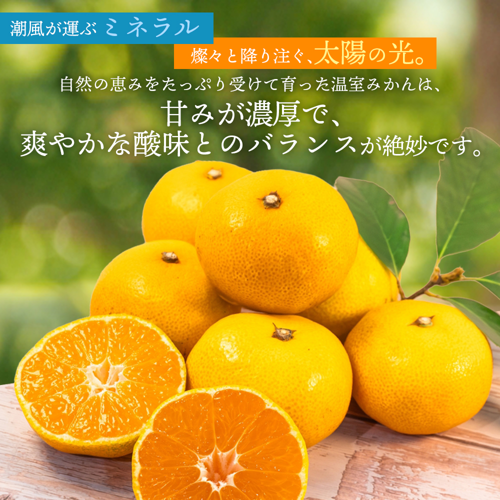 【数量限定】仲森農園の温室みかん 2.5kg 【2026年7月より順次発送予定（お届け日指定不可）】 みかん ミカン 蜜柑 温州みかん 温州ミカン 柑橘 フルーツ 果物 くだもの 産地直送 三重県 熊野市【nkmr0001】