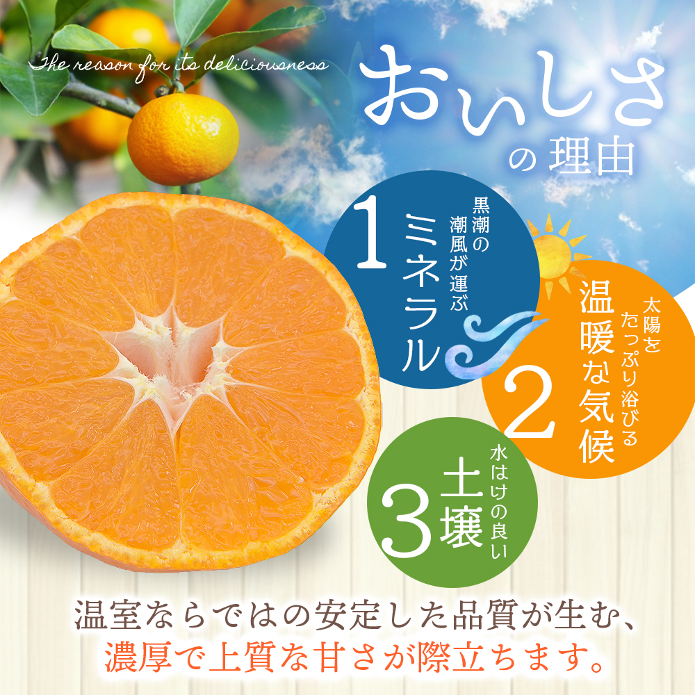 【数量限定】仲森農園の温室みかん 2.5kg 【2026年7月より順次発送予定（お届け日指定不可）】 みかん ミカン 蜜柑 温州みかん 温州ミカン 柑橘 フルーツ 果物 くだもの 産地直送 三重県 熊野市【nkmr0001】