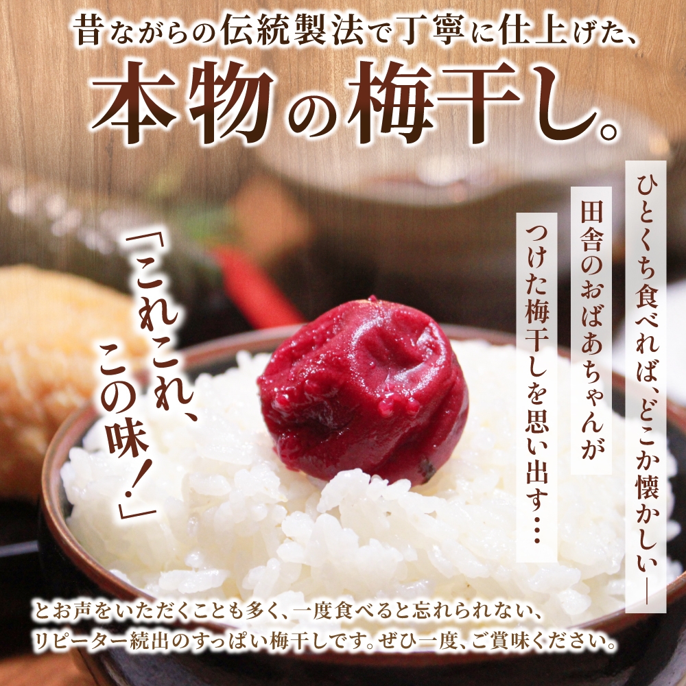 梅干し 無添加 南高梅 小分けタイプ 昔ながらのすっぱい しそ漬け梅干し 110g×5 梅干し 梅干 梅 うめ ウメ しそ梅干し しそ梅 人気 三重県 熊野市【frsn0003A】