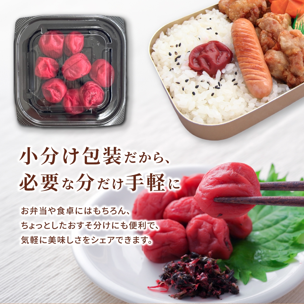 梅干し 無添加 南高梅 小分けタイプ 昔ながらのすっぱい しそ漬け梅干し 110g×5 梅干し 梅干 梅 うめ ウメ しそ梅干し しそ梅 人気 三重県 熊野市【frsn0003A】