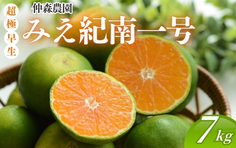 仲森農園の超極早生温州みかん みえ紀南一号 約7kg みかん ミカン 蜜柑 温州みかん 温州ミカン 柑橘 フルーツ 果物 くだもの 甘い 旬 数量限定 期間限定 産地直送 三重県 熊野市【2026年9月上旬頃～9月下旬頃に順次発送】【nkmr0013】