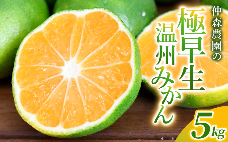 仲森農園の極早生温州みかん 約5kg みかん ミカン 蜜柑 温州みかん 温州ミカン 柑橘 フルーツ 果物 くだもの 甘い 旬 数量限定 期間限定 産地直送 10000円 三重県 熊野市【2026年9月下旬頃～10月下旬頃に順次発送】【nkmr0016】