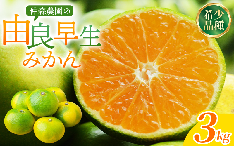 仲森農園の由良早生みかん 約3kg みかん ミカン 蜜柑 温州みかん 温州ミカン 柑橘 フルーツ 果物 くだもの 早生 甘い 旬 希少 数量限定 期間限定 産地直送 三重県 熊野市【2026年11月上旬頃～11月中旬頃に順次発送】【nkmr0019】