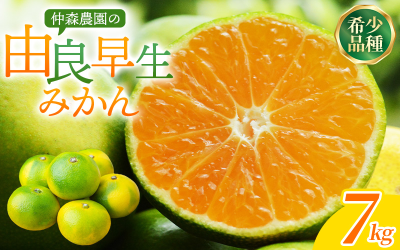 仲森農園の由良早生みかん 約7kg みかん ミカン 蜜柑 温州みかん 温州ミカン 柑橘 フルーツ 果物 くだもの 早生 甘い 旬 希少 数量限定 期間限定 産地直送 三重県 熊野市【2026年11月上旬頃～11月中旬頃に順次発送】【nkmr0021】