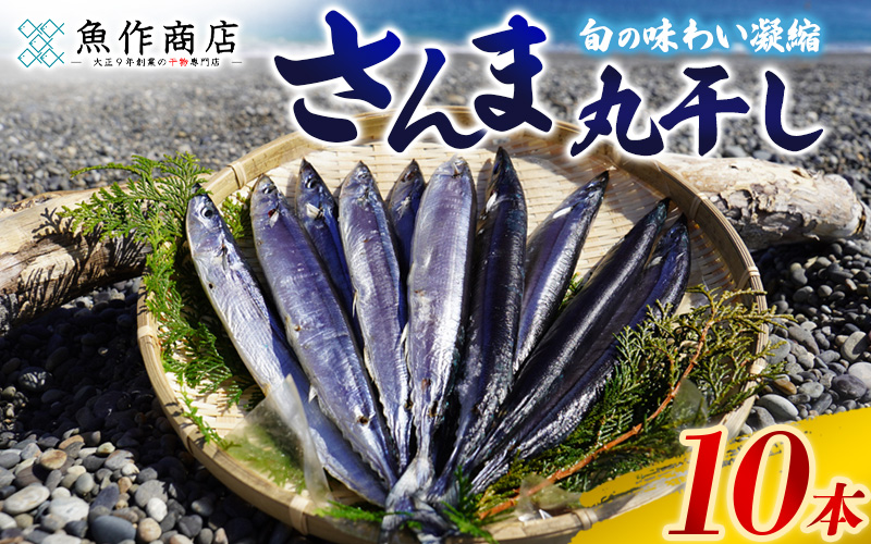 干物 さんま丸干し 10本 【魚作商店3代目の丸干し製法】 ひもの サンマ 秋刀魚 冷凍 海鮮 魚介類 特産品 焼き魚 魚 おかず おつまみ 三重県 熊野市【uosk0015A】