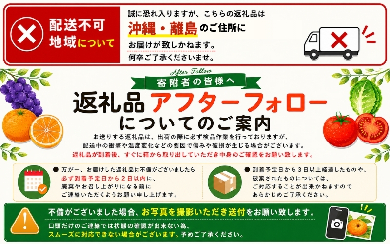 【先行受付】くまのブルーベリー 生果 600g(100g×6) フルーツ 果物 くだもの スムージー ジャム 朝食 デザート 特産品 人気 国産 旬 熊野精工 三重県 熊野市【kmsi0005】