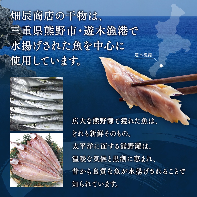 【全3回定期便】海の恵み 9種 詰め合わせ 干物 アジ あじ サンマ さんま 鯛 たい イカ スルメイカ カマス カワハギ 魚 魚介 海鮮 鮮魚 海産物 簡単調理 人気 三重県 熊野市 明治9年創業 畑辰商店【hatt-tkb0002】