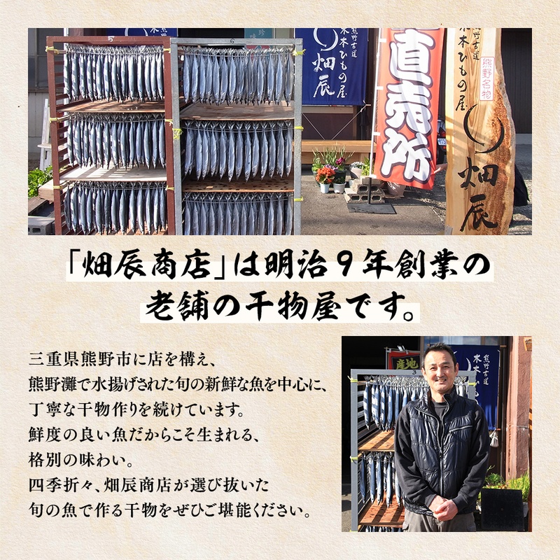【全3回定期便】海の恵み 9種 詰め合わせ 干物 アジ あじ サンマ さんま 鯛 たい イカ スルメイカ カマス カワハギ 魚 魚介 海鮮 鮮魚 海産物 簡単調理 人気 三重県 熊野市 明治9年創業 畑辰商店【hatt-tkb0002】