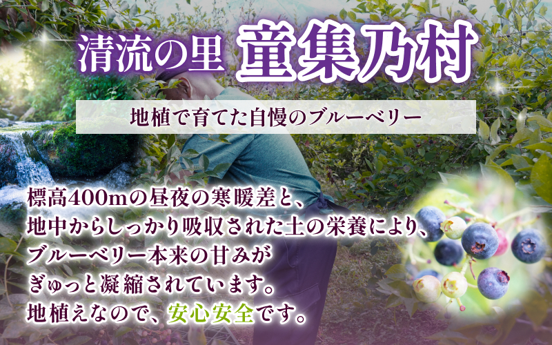 無農薬 童集乃村 ブルーベリー 冷凍 1kg 【2026年8月上旬頃～9月下旬頃に順次発送】 フルーツ 果物 くだもの スムージー ジャム 朝食 デザート 特産品 人気 国産 旬 三重県 熊野市【mnak0002A】