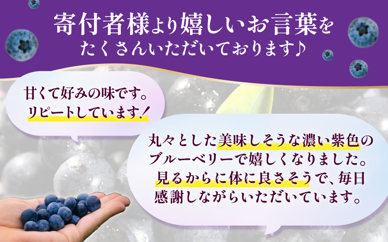 無農薬 童集乃村 ブルーベリー 冷凍 1kg 【2026年8月上旬頃～9月下旬頃に順次発送】 フルーツ 果物 くだもの スムージー ジャム 朝食 デザート 特産品 人気 国産 旬 三重県 熊野市【mnak0002A】