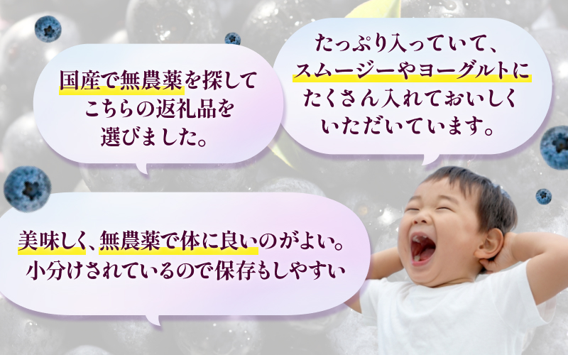 無農薬 童集乃村 ブルーベリー 冷凍 1kg 【2026年8月上旬頃～9月下旬頃に順次発送】 フルーツ 果物 くだもの スムージー ジャム 朝食 デザート 特産品 人気 国産 旬 三重県 熊野市【mnak0002A】