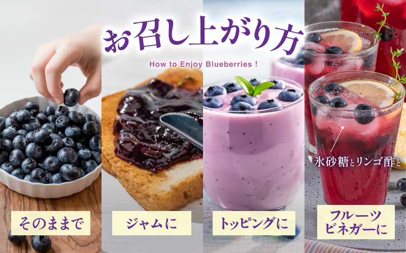 無農薬 童集乃村 ブルーベリー 冷凍 1kg 【2026年8月上旬頃～9月下旬頃に順次発送】 フルーツ 果物 くだもの スムージー ジャム 朝食 デザート 特産品 人気 国産 旬 三重県 熊野市【mnak0002A】