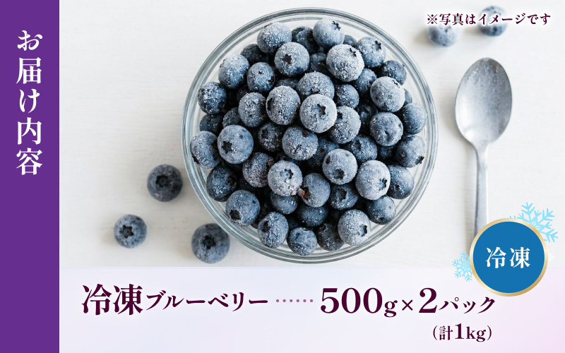 無農薬 童集乃村 ブルーベリー 冷凍 1kg 【2026年8月上旬頃～9月下旬頃に順次発送】 フルーツ 果物 くだもの スムージー ジャム 朝食 デザート 特産品 人気 国産 旬 三重県 熊野市【mnak0002A】