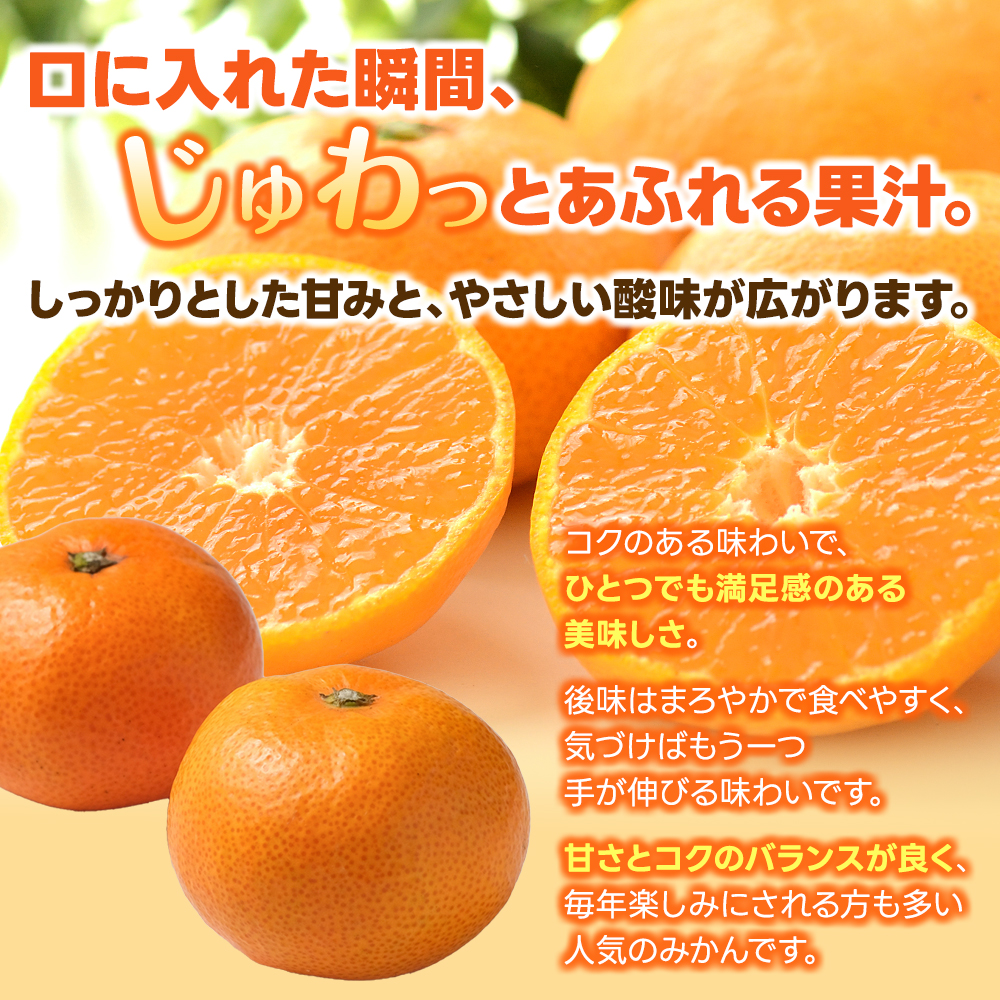 【数量限定】みなと農園のゆら早生みかん  約10kg 2S～Lサイズ混合 【2026年10月中旬頃〜順次発送】 みかん ミカン 蜜柑 温州みかん 温州ミカン 柑橘 フルーツ 果物 くだもの 早生 甘い 旬 人気 産地直送 三重県 熊野市【mntf0008】