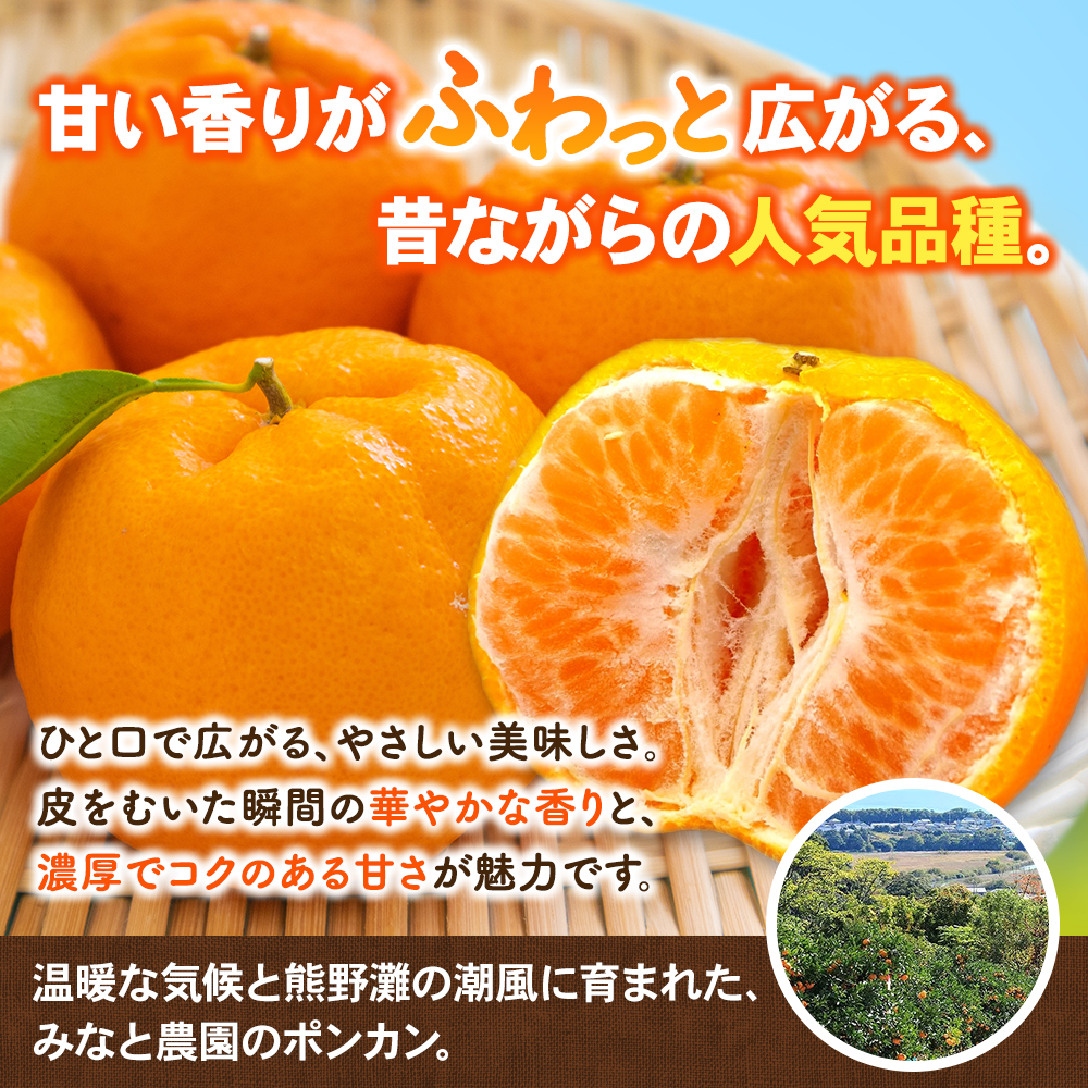 【数量限定】みなと農園のポンカン 約10kg 【2027年2月上旬頃〜順次発送】 みかん ミカン 蜜柑 ポンカン 柑橘 フルーツ 果物 くだもの 甘い 旬 人気 産地直送 三重県 熊野市【mntf0012】