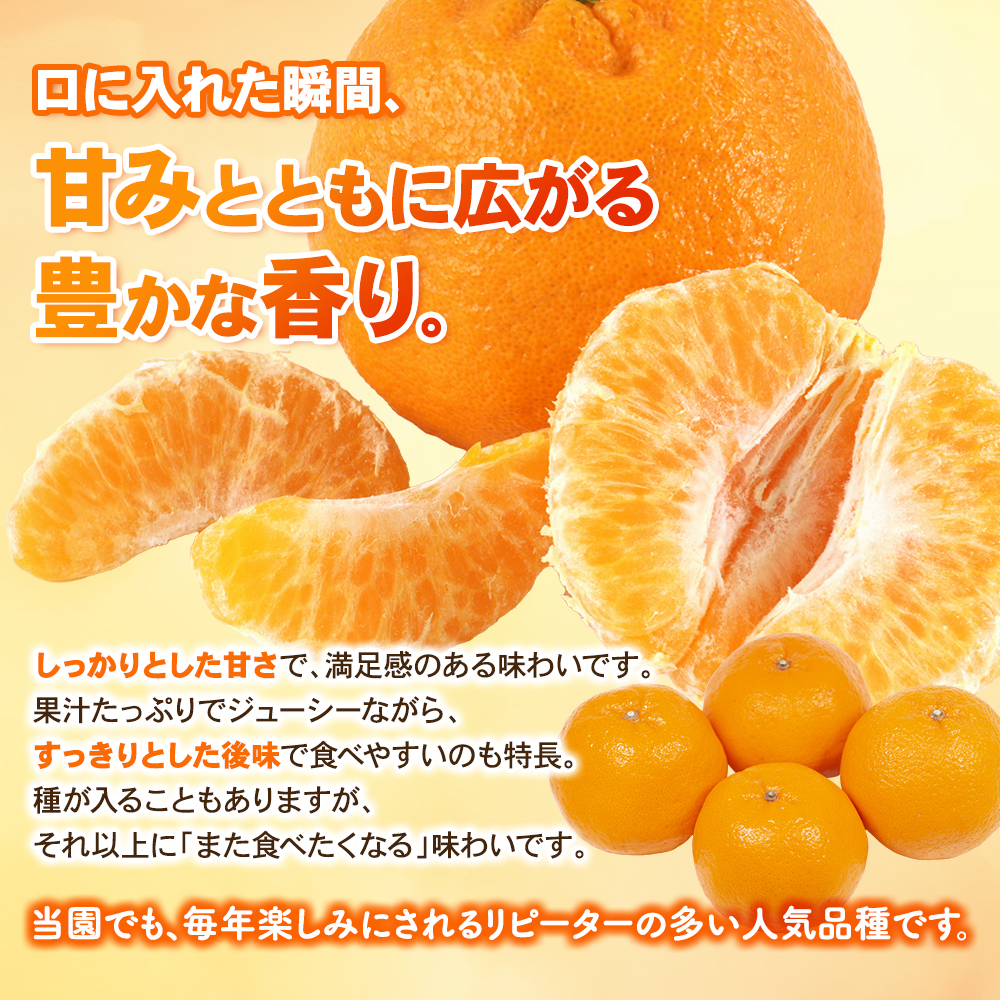 【数量限定】みなと農園のポンカン 約10kg 【2027年2月上旬頃〜順次発送】 みかん ミカン 蜜柑 ポンカン 柑橘 フルーツ 果物 くだもの 甘い 旬 人気 産地直送 三重県 熊野市【mntf0012】