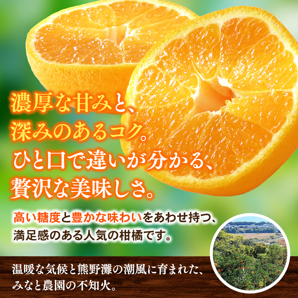【先行予約】【数量限定】みなと農園の不知火 約10kg 【2027年2月下旬頃〜順次発送】 みかん ミカン 蜜柑 不知火 しらぬい 柑橘 フルーツ 果物 くだもの 甘い 旬 人気 産地直送 三重県 熊野市【mntf0014】