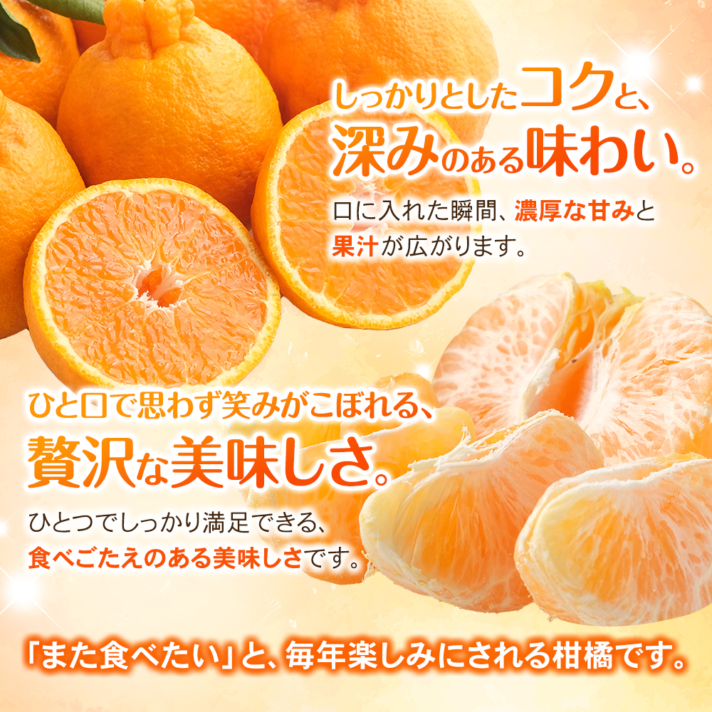 【先行予約】【数量限定】みなと農園の不知火 約10kg 【2027年2月下旬頃〜順次発送】 みかん ミカン 蜜柑 不知火 しらぬい 柑橘 フルーツ 果物 くだもの 甘い 旬 人気 産地直送 三重県 熊野市【mntf0014】