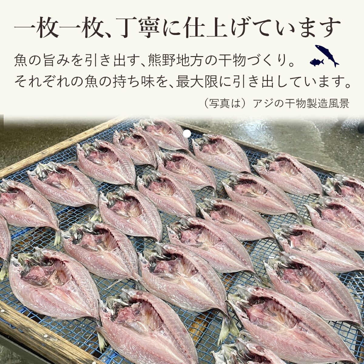 さんま 丸干し 10本 干物 ひもの 国産 サンマ 秋刀魚 松屋水産 三重県熊野市【mtys0010】