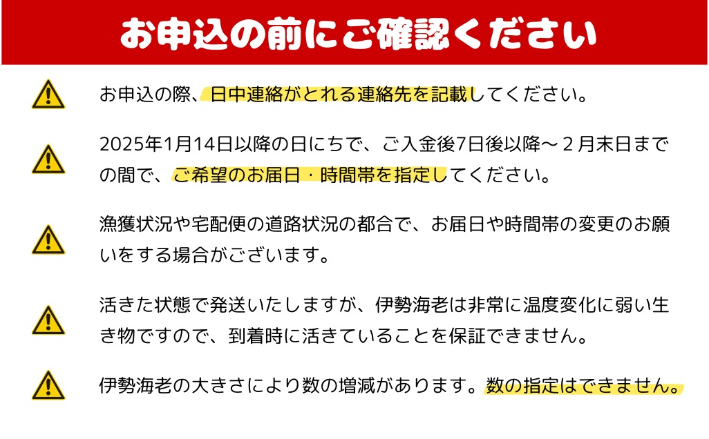 【1/14以降配送】 配送日指定必須 活き！伊勢海老　約2kg（2〜5尾）伊勢エビ 伊勢えび 三重県 熊野市 熊野