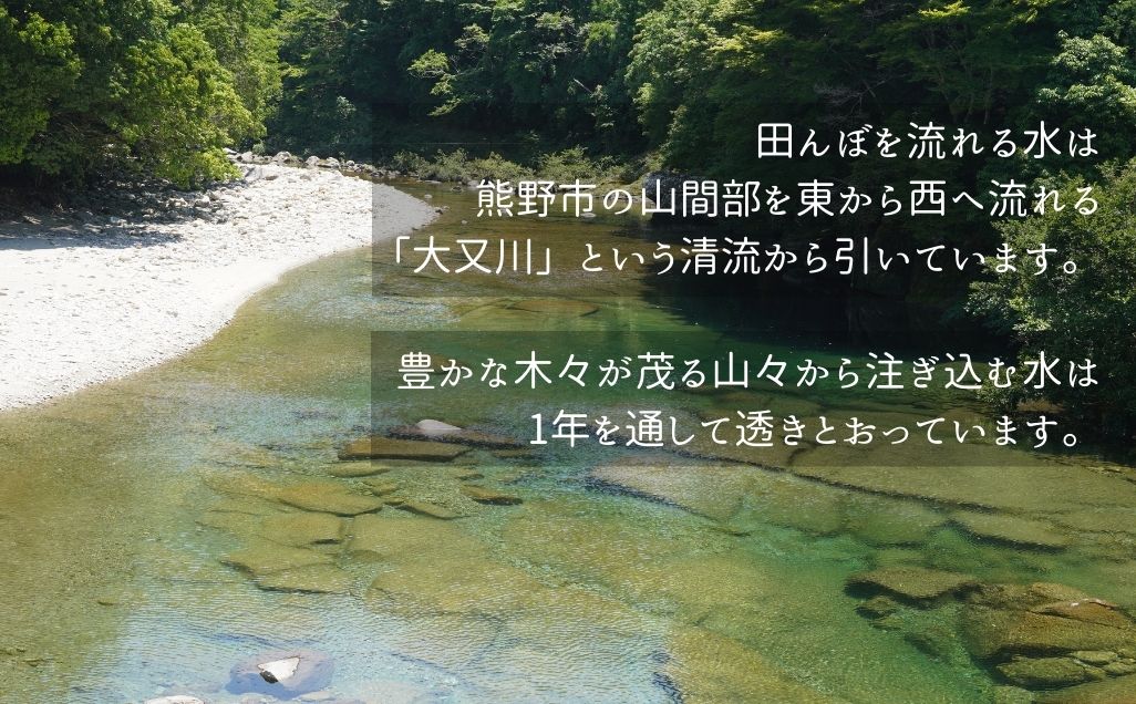 先行予約【令和７年新米】農家さんからのおすそわけ 飛鳥町 くわばらさんが作ったお米 5kg