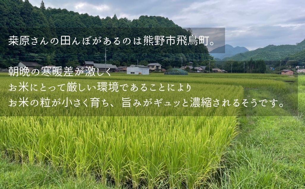 先行予約【令和７年新米】農家さんからのおすそわけ 飛鳥町 くわばらさんが作ったお米 30kg