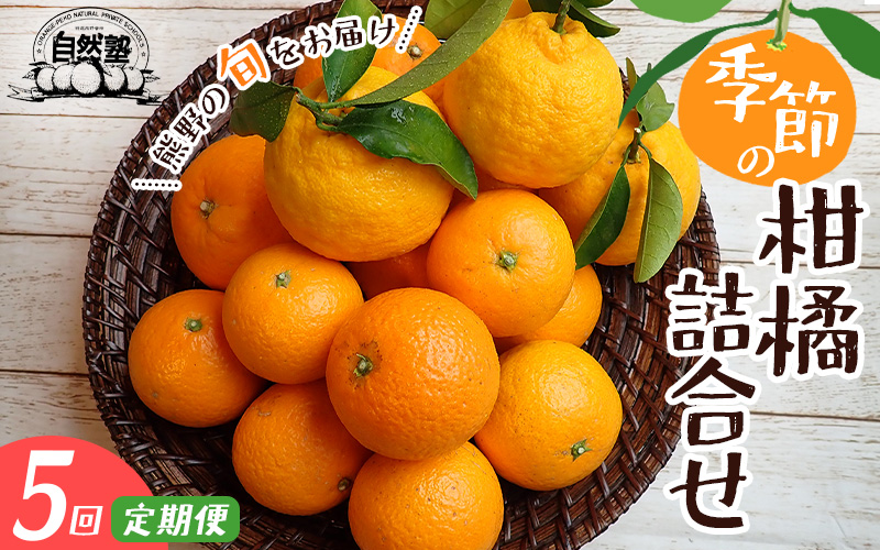 【定期便】自然塾 季節の柑橘詰合せ 5回定期便 みかん ミカン 温州みかん フルーツ 果物 くだもの 柑橘 不知火 せとか 果物定期便 フルーツ定期便 果物セット フルーツセット 甘い 濃厚 産地直送 数量限定 人気 国産 三重県 熊野市【szjk-tkb0004】