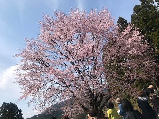 入鹿温泉ホテル瀞流荘　湯元山荘湯ノ口温泉　宿泊及びレストラン利用割引券　5,000円分