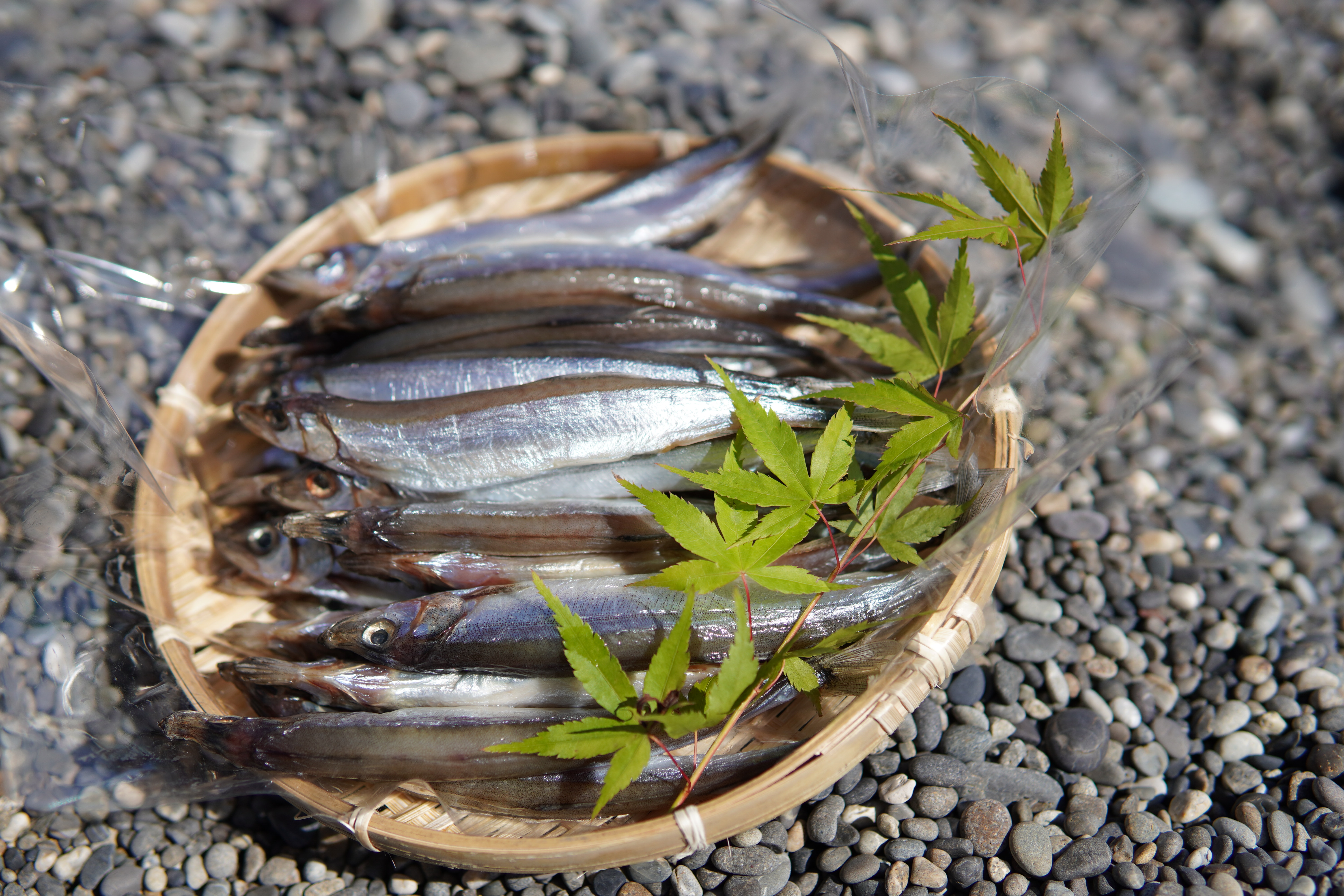 香酸柑橘と海洋深層水で美味しく減塩　減塩干物セット【たてが崎】減塩 干物 開き 朝食 おつまみ あじ アジ さんま サンマ 秋刀魚 ししゃも かぺりん エビ 海老 えび 三重県 熊野市