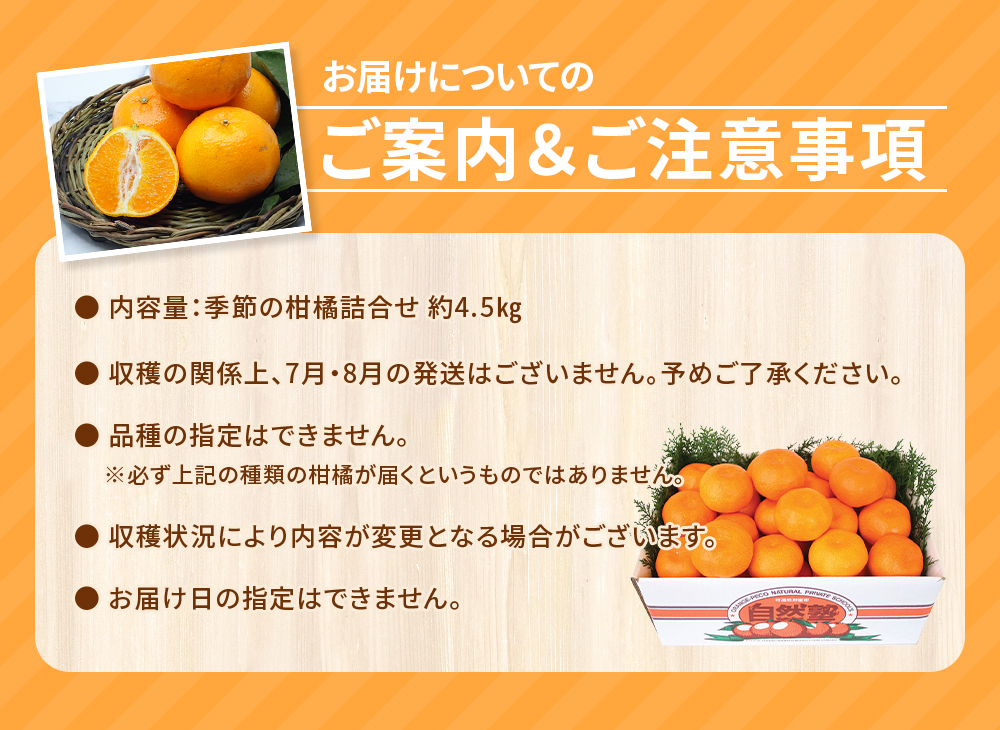 自然塾 季節の柑橘詰合せ 約4.5㎏ みかん ミカン 温州みかん フルーツ 果物 くだもの 柑橘 不知火 せとか 果物セット フルーツセット 甘い 濃厚 産地直送 数量限定 人気 国産 三重県 熊野市 【szjk0010】