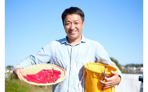 【テレビで紹介されました】 熊野唐辛子ギフト５(一味唐辛子(プリッキーヌ)1本+一味唐辛子(ハバネロ)1本＋生唐辛子) 希少 国産唐辛子